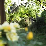 Villa Campo Di Fiore *